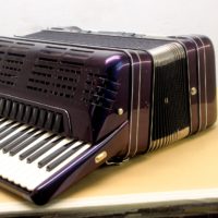 Hohner Morino Reparatur