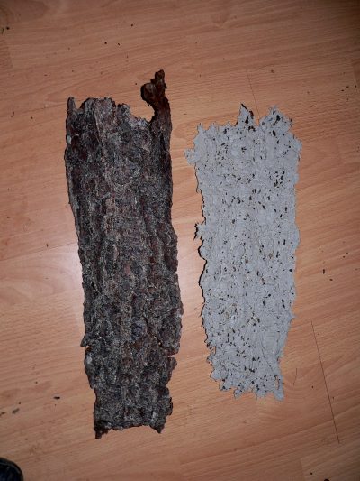 Rinde und Silikonform